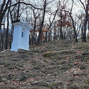 Česká - Tišnov