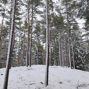 Výlet 11. 3. 2023