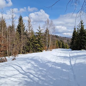 Hike - Polské Beskydy 2