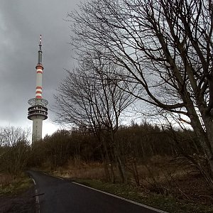 Na bukovku