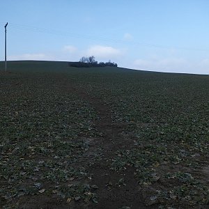 Cesta na Šibenici.