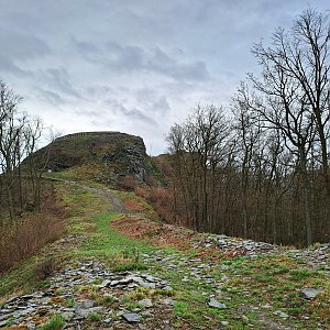Kalich - Panna 
