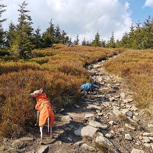 32VB * Lysá hora (4) z Ostravice