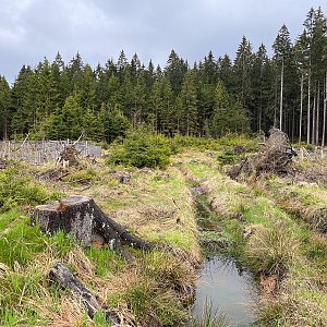 Žďárské 8istovky 6x