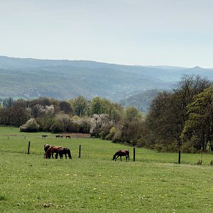 Okolo Krásného Lesa II