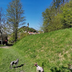7. Štramberský Jasoň ♡ 