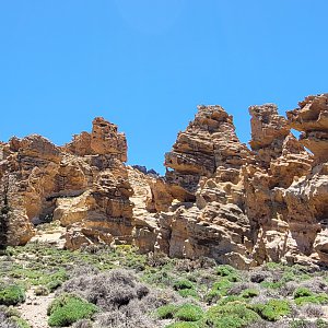 Guajara