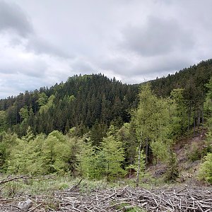 Okolo Kynžvartu