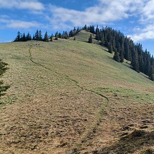 V.Fatra - Lysec &