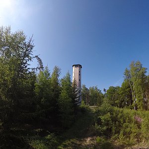 Javornická hůra (583 m)