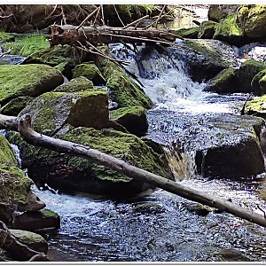 27.5.2023 šumavské toulání okolo Borové Lady