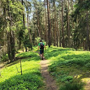 Mariánky - Tachov
