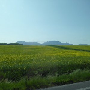 Okruh Blatnica - Tlstá - Zadná Ostrá - Ostrá - Konský dol - Blatnica.