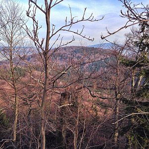 Oldřichovský Špičák+Stržový