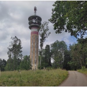 24.6.2023 na nejvyšší vrchol okresu Nymburk - Na pískách