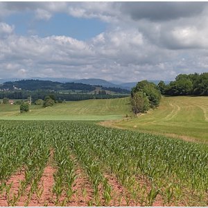 24.6.2023 na nejvyšší vrchol okresu Jičín - Kozinec