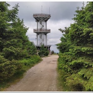 25.6.2023 okolo jizerského Smrku