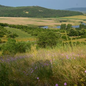 Balaton - Tihany