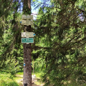Jeřáb 1003 m, Hanušovická vrchovina