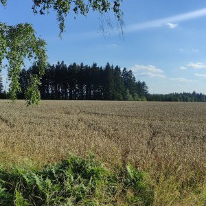 Baldský vrch (692 m) - Svitavská pahorkatina 