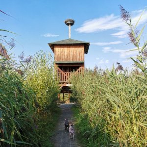 Vinná hora z Hlučína