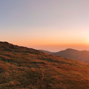 Fagaraš_2