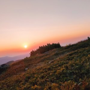 Fagaraš_3