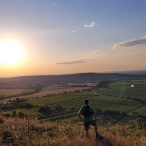 Pálavské vrchy
