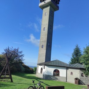 Vír