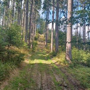 Vrcholky mezi Bílou a Bobkem