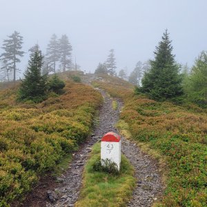Ramzová
