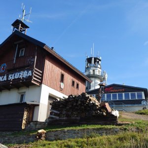 Plešivec