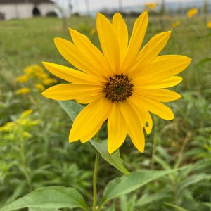 Ludkovice  - Luhačovice