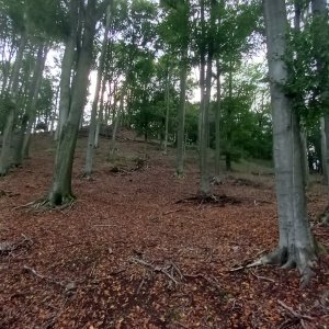 Litoměřice ====> Ústí
