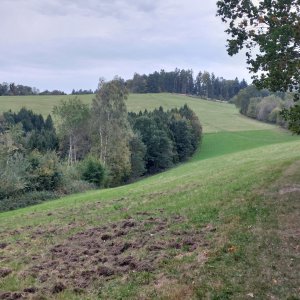 kopce kolem Metylovic