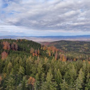 Výlet 29. 10. 2023