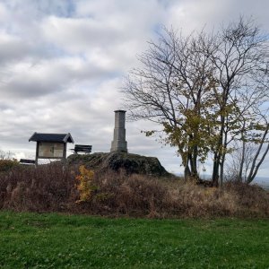 Katzenstein 627