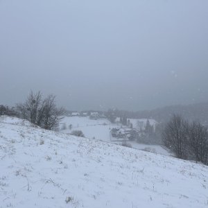 Nýdek 