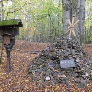 Jak se obyčejná "procházka" změnila v můj první pokus o půlmaraton.