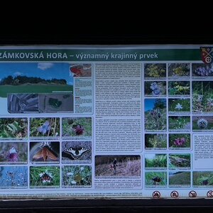 Výstup na Zámkovou horu Bolešiny