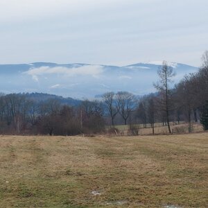Ucháč