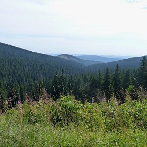 Sokol a Kamzičí vrch 2015