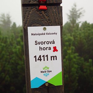 puťák Sněžka