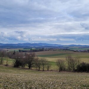 Domažlice