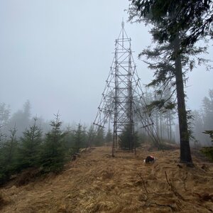 Šumava