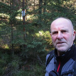 V Pařezí (1146 m)