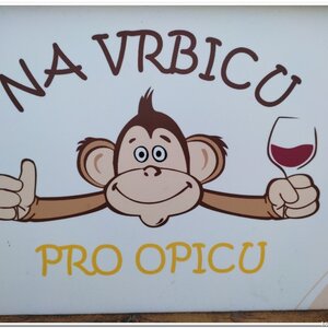 24.2.2024 vinicemi na ultrakopec Kobylí vrch