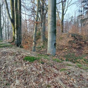 kopce u Vršovic