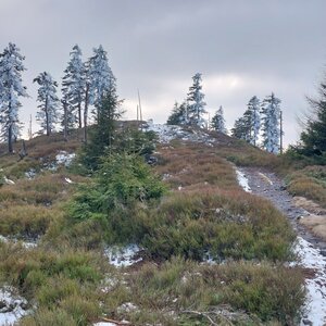 Rychlebky