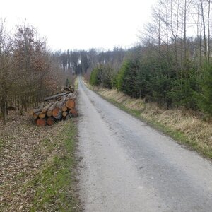 Jak se pokus o regenerační běh změnil prakticky jen v chůzi z Teplic nad Bečvou na Helfštýn a zpět až na železniční nádraží v Hranicích.